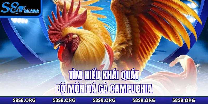 Tìm hiểu khái quát bộ môn đá gà Campuchia 